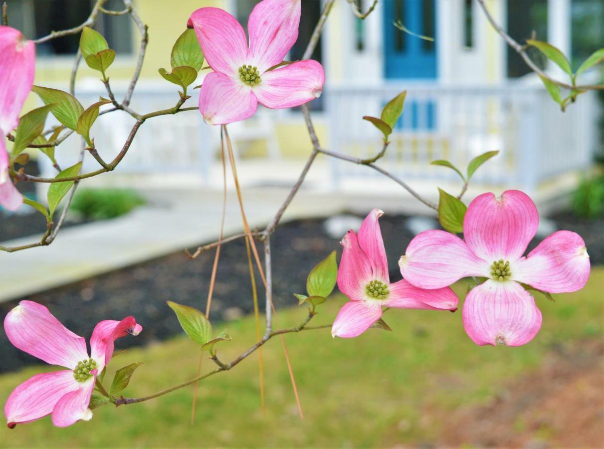 Meris Gardens B&B Bethany Beach Exteriör bild